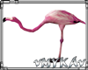 VM Flamingo PINK DECOR