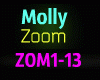 Molly Zoom IFINDI