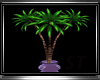 ST:Palm Trees Pot MESH