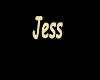 Jess Necklace