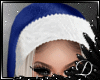 .:D:.SANTA BLUE HAT