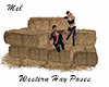 Western Hay Poses