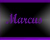 (Tess)Marcus