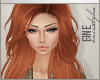 F| Beni Ginger