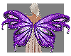 Animated Purple Wings