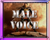 Male Voices