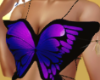 BUTTERFLY HALTER