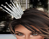 Silver Particle Crown