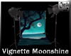 PhotoVignette- Moonshine