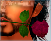 Lovers Rose