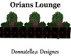 orains lounge plant