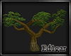 (ED1)Tree-08