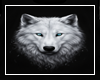 Glimmer Wolf (M)