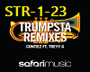 Trumpsta-Remix