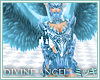 ! Aqua Divine Angel Top