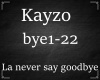 Kayzo prt2