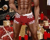 (R) Santa Boxer