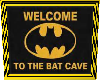 Bat  Cave Picture 