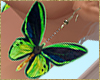 butterfly earrings drv