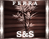 ~F~S&S Plant