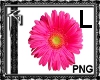 Pink Flower Sticker Lge