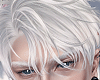 T. Rabbit Hair III