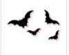 Black N White Bats