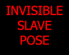 [DS]SLAVE POSE INVISIBLE