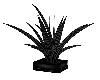 Emo animated plant