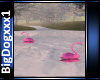 [BD]Flamingos
