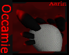 Aarin Ears
