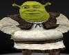 Shrek LOL Laughing Halloween Costumes Funny