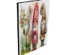 Gnome Picture
