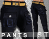 Pants ARMY Navy Blue -ST