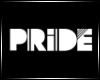 [N] Pride Signage