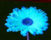 Flower #4 Blue Daisy