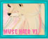 Muse Hair V1