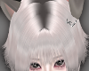 NNN.LightGrey WolfCut