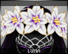 *L Phae's Lotus Crown