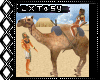 camello egyptian