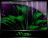 ☮ Vita | Plant