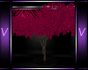 ~V~ Wild Pink Zebra Tree