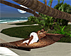~PS~ Beach Tree Swing