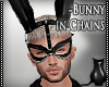 [CS] Bunny In Chains .M