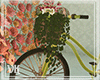 ᘎК~Bicycle Pose
