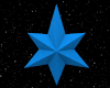 Ani Blue Star (2)