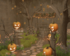 Pumpkin Craze Halloween