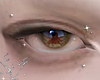 ✧ sharp eyes