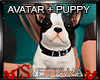 [Sx]Puppy Dog + Avi