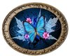 Blue Butterfly framed